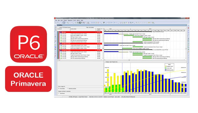 Project Planning & Management